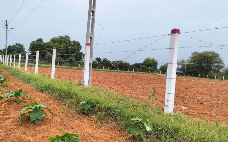 Roshni Wire Fencing