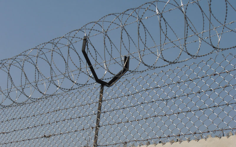 Wire Fencing Chain Link Jali And Concertina Coil Contractor